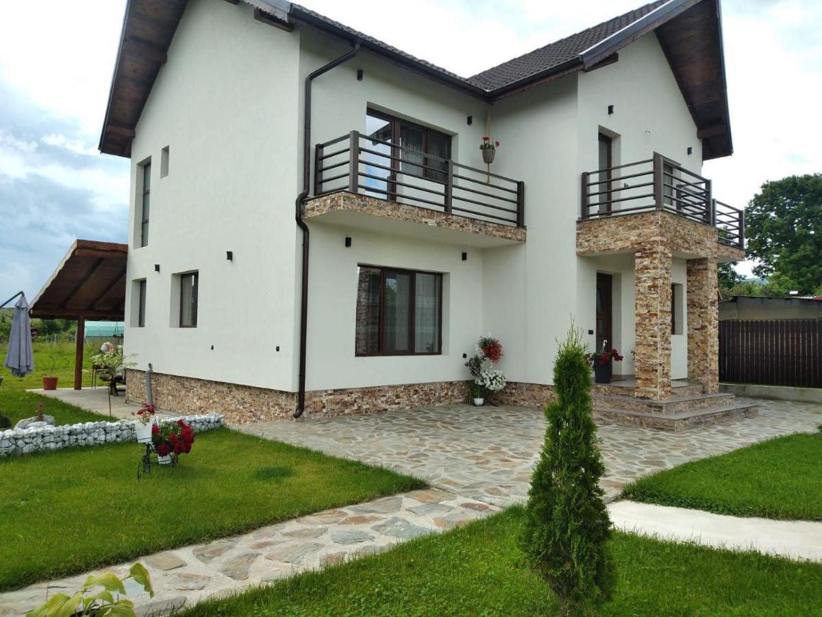 Pensiunea Casa Nusa Baia de Fier Exterior foto